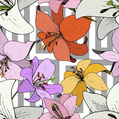 Vektör Lily Floral botanik çiçek. Siyah ve beyaz mürekkep sanat kazınmış. Sorunsuz arka plan deseni.