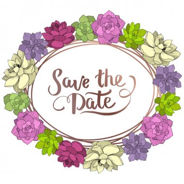 Vektör Succulents botanik çiçek. Beyaz arka plan üzerinde oyulmuş mürekkep sanat. Çerçeve kenarlığı süsleme Meydanı.