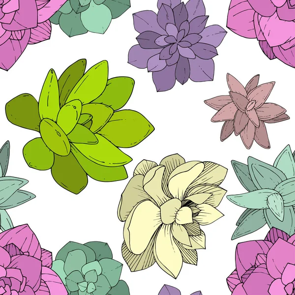Vector Suculentas flor botánica floral. Arte de tinta grabada. Patrón de fondo sin costuras . — Vector de stock