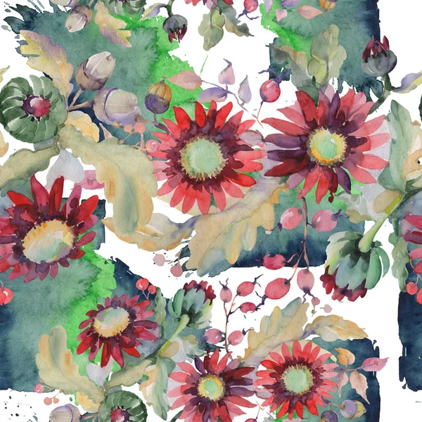 Czerwony Aster i żołądź bukiet kwiatowy kwiatów botanicznych. Zestaw ilustracji akwarela. Płynny wzór tła. — Zdjęcie stockowe