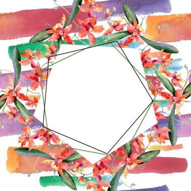 Mercan orkide dalı. Botanik çiçek. Suluboya arka plan illüstrasyon küme. Çerçeve kenarlığı süsleme Meydanı.