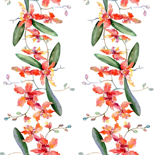 Ramo di orchidee di corallo. Fiore botanico floreale. Acquerello sfondo illustrazione set. Modello di sfondo senza soluzione di continuità . — Foto Stock