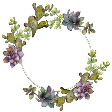 Orman botanik etli çiçek. Suluboya arka plan illüstrasyon küme. Çerçeve kenarlığı süsleme Meydanı.