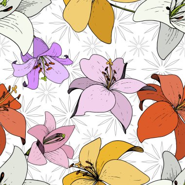 Vektör Lily Floral botanik çiçek. Siyah ve beyaz mürekkep sanat kazınmış. Sorunsuz arka plan deseni.