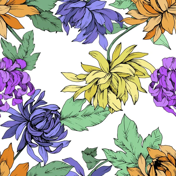 Vector Chrysanthemum flores botánicas florales. Arte de tinta grabada. Patrón de fondo sin costuras . — Vector de stock