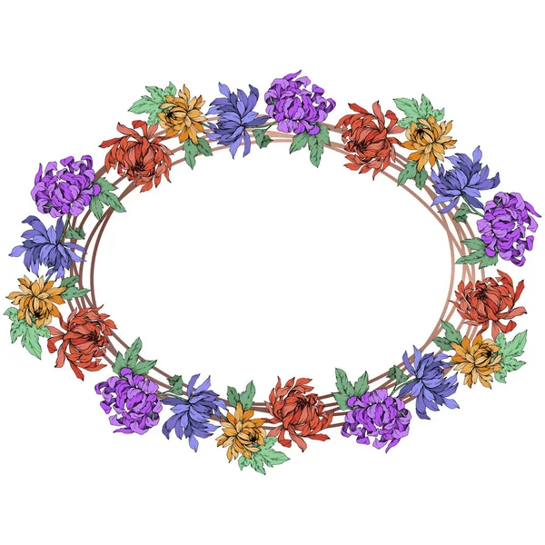 Vector Chrysanthemum flores botánicas florales. Arte de tinta grabada. Marco borde ornamento cuadrado . — Archivo Imágenes Vectoriales