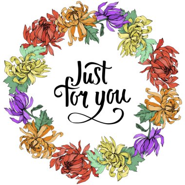 Vektör krizantem çiçek botanik çiçekler. Oyulmuş mürekkep sanat. Çerçeve kenarlığı süsleme Meydanı.