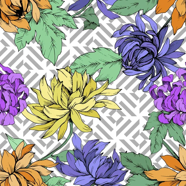 Vector Chrysanthemum flores botánicas florales. Arte de tinta grabada. Patrón de fondo sin costuras . — Vector de stock