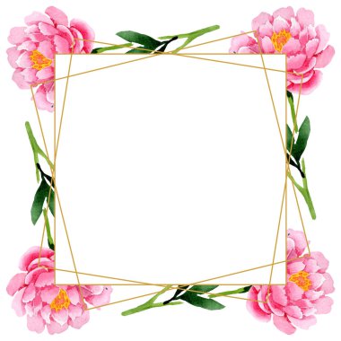 Pembe peony çiçek botanik çiçekler. Suluboya arka plan illüstrasyon küme. Çerçeve kenarlığı süsleme Meydanı.