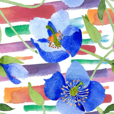 Mavi Haşhaş çiçek botanik çiçekler. Suluboya resim kümesi. Sorunsuz arka plan deseni.