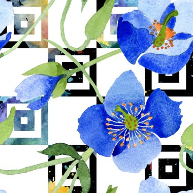 Mavi Haşhaş çiçek botanik çiçekler. Suluboya resim kümesi. Sorunsuz arka plan deseni.