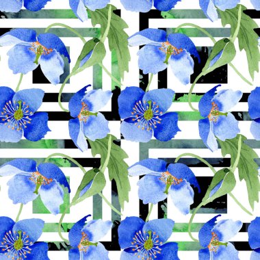 Mavi Haşhaş çiçek botanik çiçekler. Suluboya resim kümesi. Sorunsuz arka plan deseni.