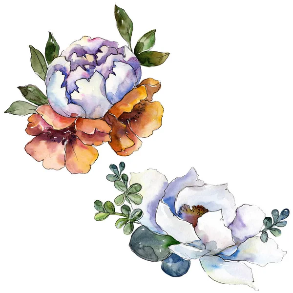 花束花植物の花。水彩画背景イラスト セット。孤立した花束の図要素. — ストック写真