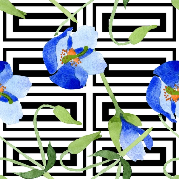 Fiori botanici floreali di papavero blu. Set illustrazione acquerello. Modello di sfondo senza soluzione di continuità . — Foto Stock