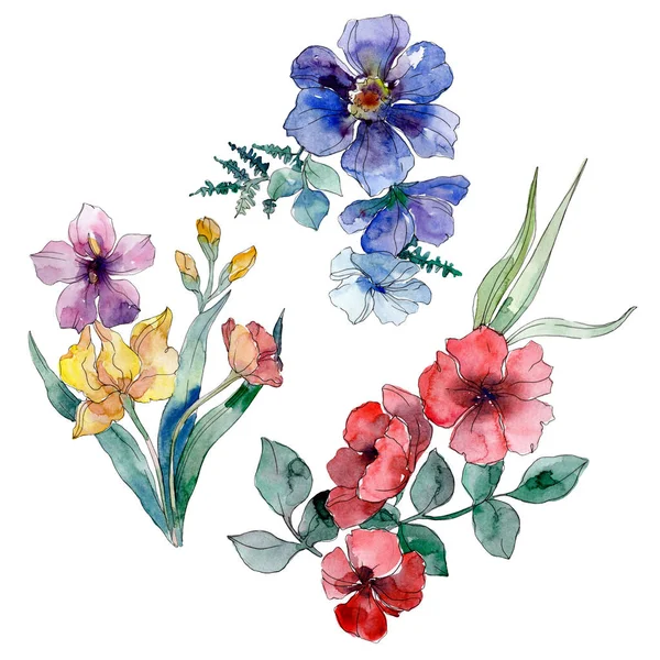 Wildflower bukiet kwiatowy kwiaty botanicznych. Zestaw tle akwarela. Element ilustracja na białym tle polne kwiaty. — Zdjęcie stockowe