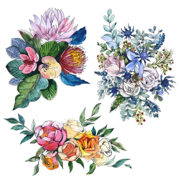Wildflowers bukett blommiga botaniska blommor. Akvarell bakgrunds uppsättning. Enstaka kompositioner illustration element. — Stockfoto