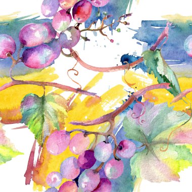 Üzüm meyve sağlıklı gıda. Suluboya illüstrasyon seti. Kesintisiz arka plan deseni. Kumaş duvar kağıdı baskı doku.