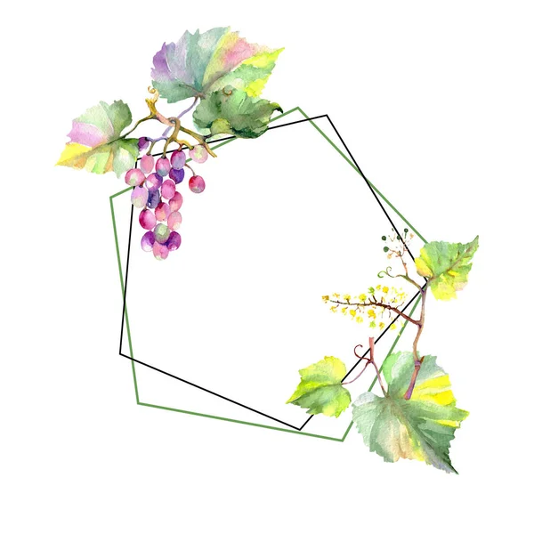 Winogrona jagód zdrowej żywności. Akwarela zestaw ilustracji tła. Obramowanie ramy ornament kwadrat. — Zdjęcie stockowe