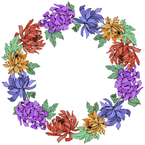 Vecteur Fleurs botaniques florales de Chrysanthème. Encre gravée. Cadre bordure ornement carré . — Image vectorielle