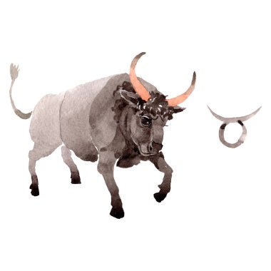 Taurus Zodiac işareti, Astroloji sembolü. Suluboya arka plan illüstrasyon seti. İzole burç illüstrasyon eleman.