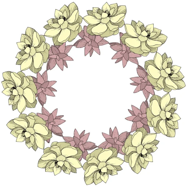 Vector Suculentas flor botánica floral. Tinta grabada sobre fondo blanco. Marco borde ornamento cuadrado . — Archivo Imágenes Vectoriales