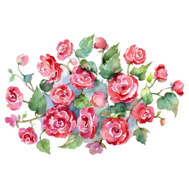 Kırmızı buket çiçek botanik çiçek gül. Suluboya arka plan seti. İzole buket illüstrasyon eleman.