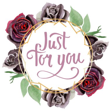 Siyah çiçek botanik çiçekler yükseldi. Suluboya arka plan illüstrasyon seti. Çerçeve kenarlık süsleme kare.