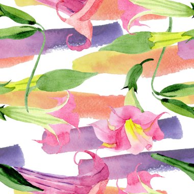 Pembe Brugmansia Floral botanik çiçekleri. Suluboya arka plan illüstrasyon seti. Kesintisiz arka plan deseni.