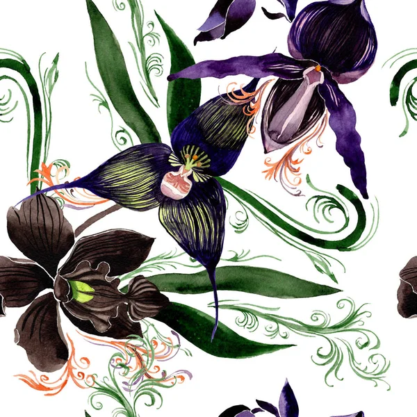 Orquídea negra flores botánicas florales. Conjunto de ilustración de fondo  acuarela. Patrón de fondo sin costuras .: fotografía de stock © MyStocks  #259586358 | Depositphotos
