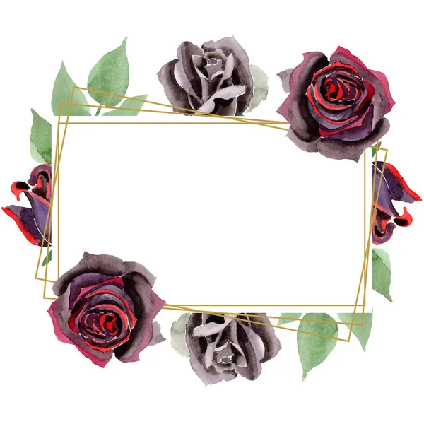 Rosa negra flores botánicas florales. Conjunto de ilustración de fondo acuarela. Marco borde ornamento cuadrado . — Foto de Stock