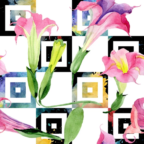 핑크 브루 그만 시아 꽃 식물 꽃입니다. 수채화 배경 그림 집합입니다. 완벽 한 배경 패턴. — 스톡 사진