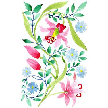 Pembe ve mavi süs çiçek botanik çiçekler. Suluboya arka plan seti. İzole süs illüstrasyon elemanı.