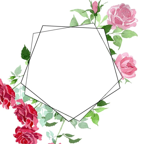 Rosa e vermelho arbusto rosas flores botânicas florais. Conjunto de ilustração de fundo aquarela. Quadro borda ornamento quadrado . — Fotografia de Stock