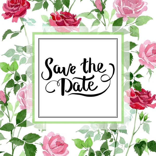 Pembe ve kırmızı güller çiçek botanik çiçekler bush. Suluboya arka plan illüstrasyon küme. Çerçeve kenarlığı süsleme Meydanı.