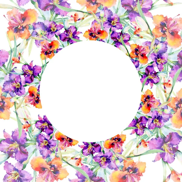 Μωβ daylily floral μπουκέτο λουλούδια βοτανική. Ακουαρέλα φόντο εικόνα σύνολο. Πλαίσιο συνόρων στολίδι τετράγωνο. — Φωτογραφία Αρχείου