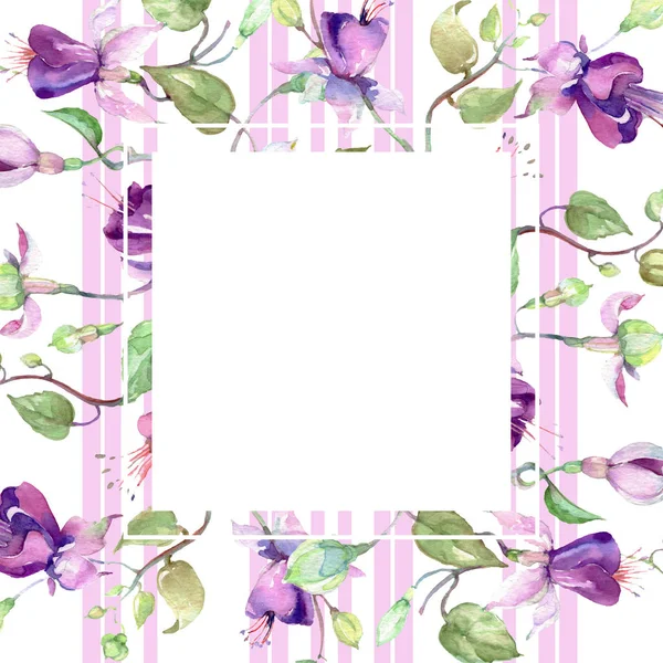 紫色フクシア花束。花植物の花。水彩画背景イラスト セット。フレーム枠飾りスクエア. — ストック写真
