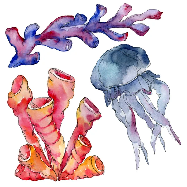 Medúzák és vízi víz alatti természet korallzátony. Trópusi növény tengeri elszigetelt. Akvarell háttér illusztráció készlet. — Stock Fotó