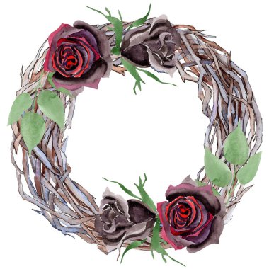 Siyah çiçek botanik çiçekler yükseldi. Suluboya arka plan illüstrasyon seti. Çerçeve kenarlık süsleme kare.