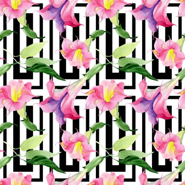 Pembe Brugmansia Floral botanik çiçekleri. Suluboya arka plan illüstrasyon seti. Kesintisiz arka plan deseni.