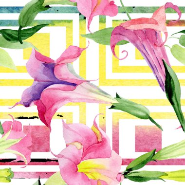 Pembe Brugmansia Floral botanik çiçekleri. Suluboya arka plan illüstrasyon seti. Kesintisiz arka plan deseni.