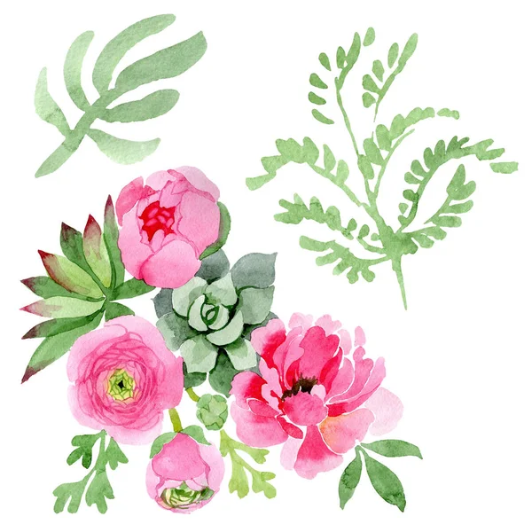 Rosa ranuncolo fiori botanici floreali. Set sfondo acquerello. Elemento di illustrazione bouquet isolato . — Foto Stock