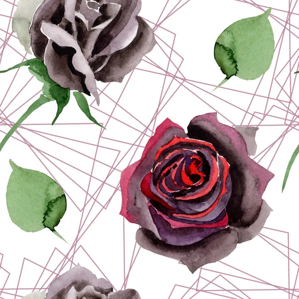 Botanische Blüten der schwarzen Rose. Aquarell Hintergrundillustration Set. nahtloses Hintergrundmuster. — Stockfoto