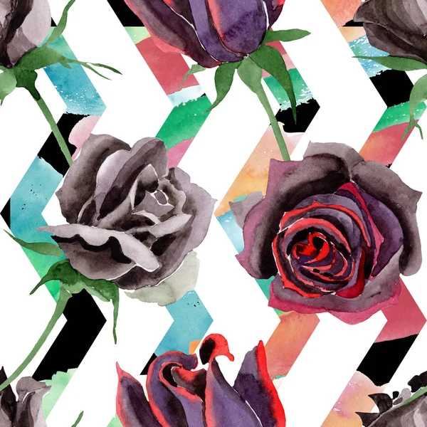 Rosa negra flores botánicas florales. Conjunto de ilustración de fondo acuarela. Patrón de fondo sin costuras . —  Fotos de Stock