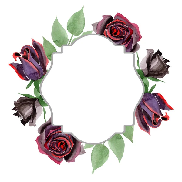 Botanische Blüten der schwarzen Rose. Aquarell Hintergrundillustration Set. Rahmen Rand Ornament Quadrat. — Stockfoto
