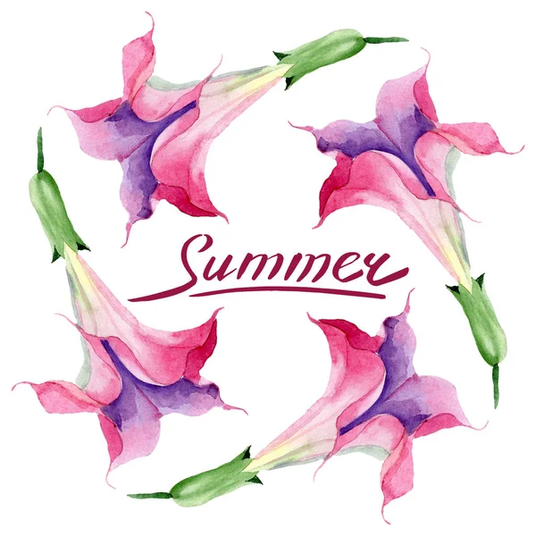 粉红色布鲁格曼西亚花卉植物花。水彩背景插图集。框架边框装饰广场. — 图库照片