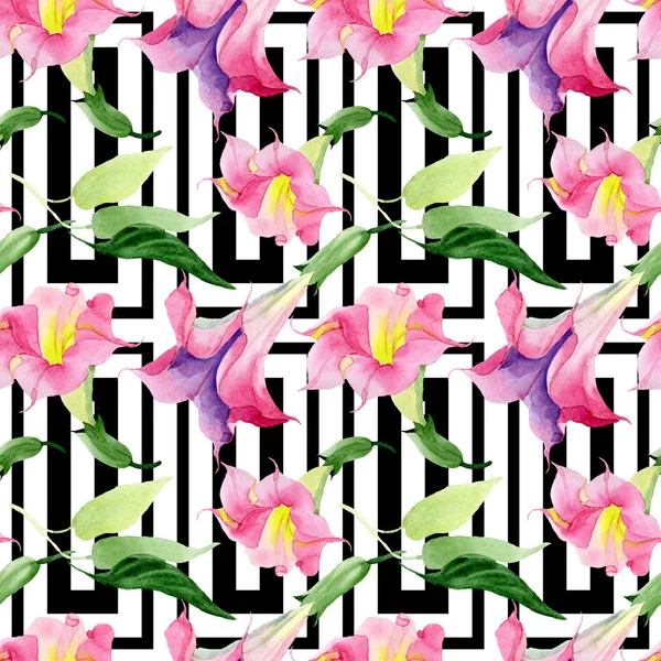 Różowe Brugmansia kwiatowe kwiaty botaniczne. Akwarela zestaw ilustracji tła. Płynny wzór tła. — Zdjęcie stockowe