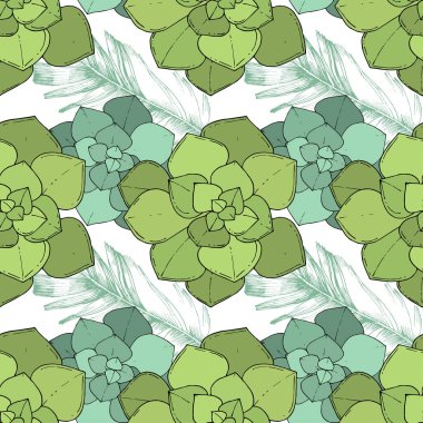 Vektör Succulents botanik çiçek. Oyulmuş mürekkep sanat. Sorunsuz arka plan deseni.
