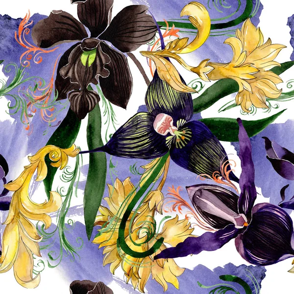 黑兰花植物花卉。水彩背景插图集。无缝的背景模式. — 图库照片