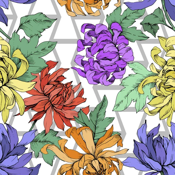 Wektor Chryzantema kwiatowy kwiaty botanicznych. Grawerowane atrament sztuki. Bezszwowe tło wzór. — Wektor stockowy