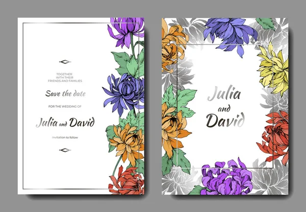 Vector Chrysanthemum flores botánicas florales. Arte de tinta grabada. Tarjeta de fondo de boda borde decorativo floral . — Vector de stock
